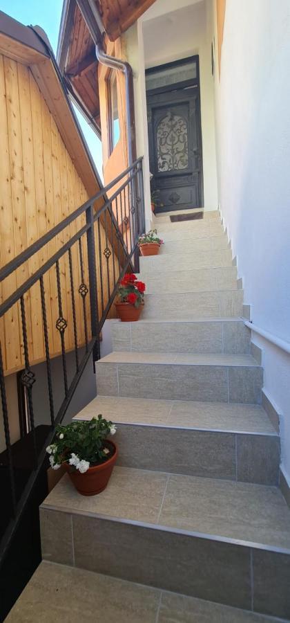 Guest house La Ovi *